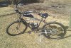 bike.jpg