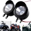 fog lite metal with visor.jpg