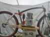WP_001156.jpg