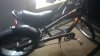 SHELLYS - WIN_20160502_180824.JPG