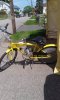 cruzan bike.jpg