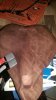 rps20160718_144851.jpg