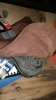 rps20160718_144908.jpg