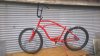 WP_DS20161209.jpg