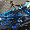 Blue Bike Fenders IMG_6452.JPG