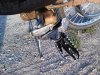 CAM28945.jpg