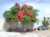 DSC00041.JPG