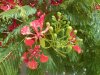 DSC00042.JPG