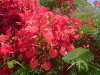 DSC00043.JPG