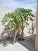 DSC00044.JPG