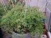 October0906 001.jpg