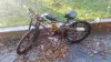 20170922_082027.jpg