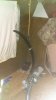 IMAG0179.jpg