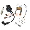 CDI-Ignition-Coil-Magneto-Coil-for-50cc-66cc-80cc-2-Stroke-Motorized-Bicycle-Bike-Engine.jpg