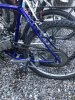 8336D2B8-6380-4EC9-BB00-D9736CB45240.jpeg