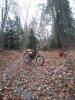 20181125_155226.jpg
