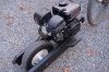 DSCF2246.JPG