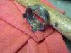 DSC06485.JPG