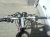 DSC01311.JPG