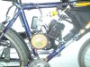 DSC01315_1.JPG