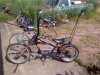 stingray chopper1.jpg