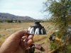headlight-4.jpg