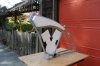 DSC_0112.JPG