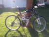 20200531_083924.jpg