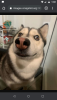 Screenshot_20210401-010235.png
