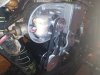 IMG_20211029_013617.jpg