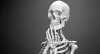 47.Bones_.jpg