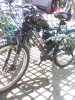 IMG_20210620_153722.jpg