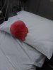 IMG_20210608_115552.jpg