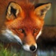 littlefox
