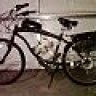 dongoyo209