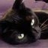 Kiki