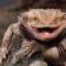 2wheel lizard