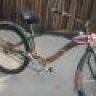 p40 bike