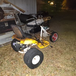 "Spider-Bite" & "Yellow Jacket"