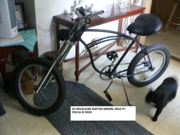 Able to pedal & ride as bicycle