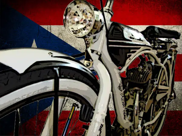 bike flag