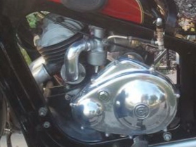 Cov Egl close up