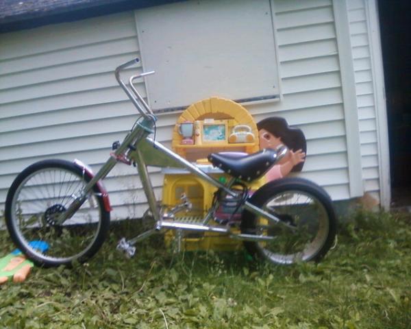 different view of the apes (dont mind dora ive tried many times to throw her out but kids wont have it)