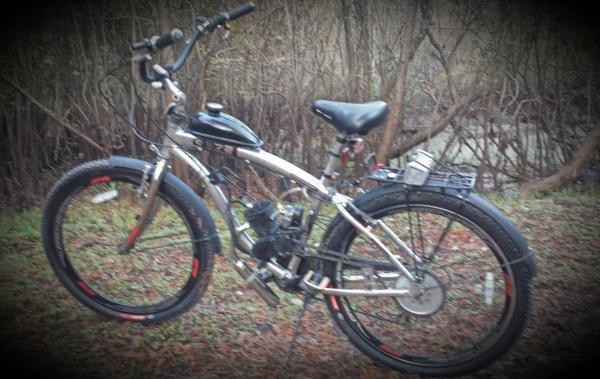 Friends Genesis 29 inch