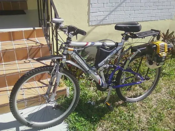front/sideview with extension to straighten the motor