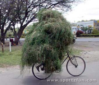 greenie farm biker