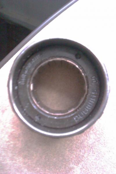 IMAG0061
