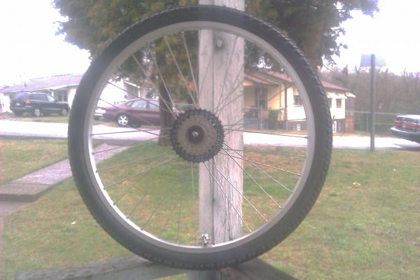 IMAG0086