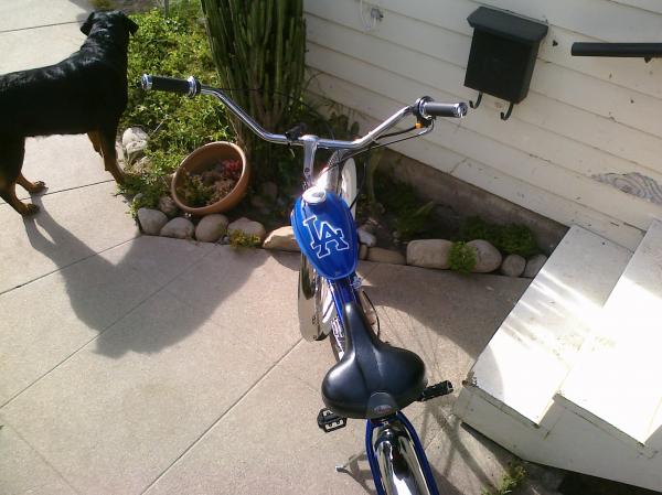 L.A. Dodger Beach Cruiser