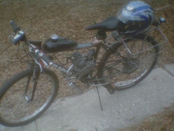 Mutt212011001